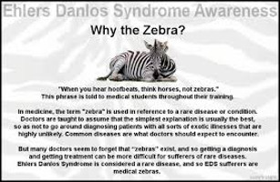 Medical Zebra Mascot