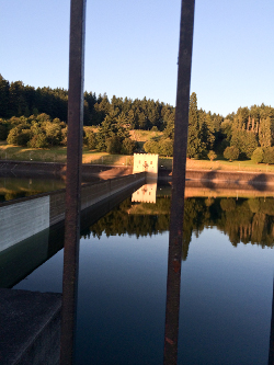 Lower Tabor Reservoir