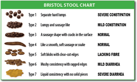 Bristol Poop Chart