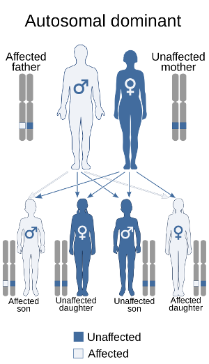 Autosomal Dominant