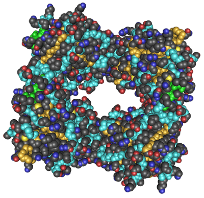 Human Tryptase Molecule