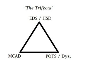 image of a triangle with EDS/HSD on top, POTS / Dys on one corner, and MCAD on the other labeled The Trifecta