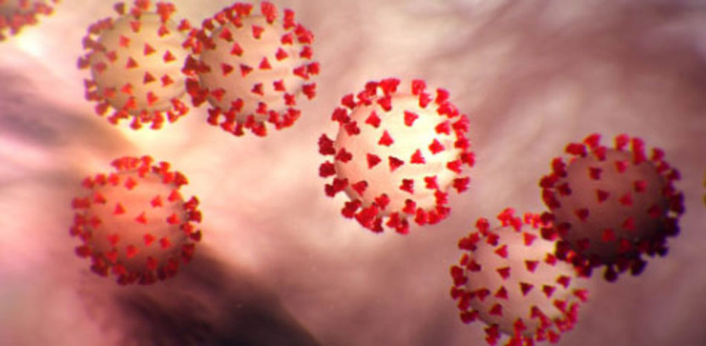 graphic image of several enlarged "virus" balls covered in red "prongs" floating against an amorphous off white background