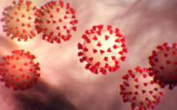 graphic image of several enlarged "virus" balls covered in red "prongs" floating against an amorphous off white background